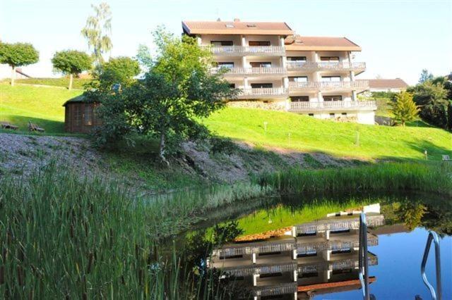 Belvedere - Das Bio Hotel Garni & Suitehotel Am Edersee ! Unser Geschenk Fuer Sie, Auch Die Gaestecard Grimmheimat! Вальдек Экстерьер фото