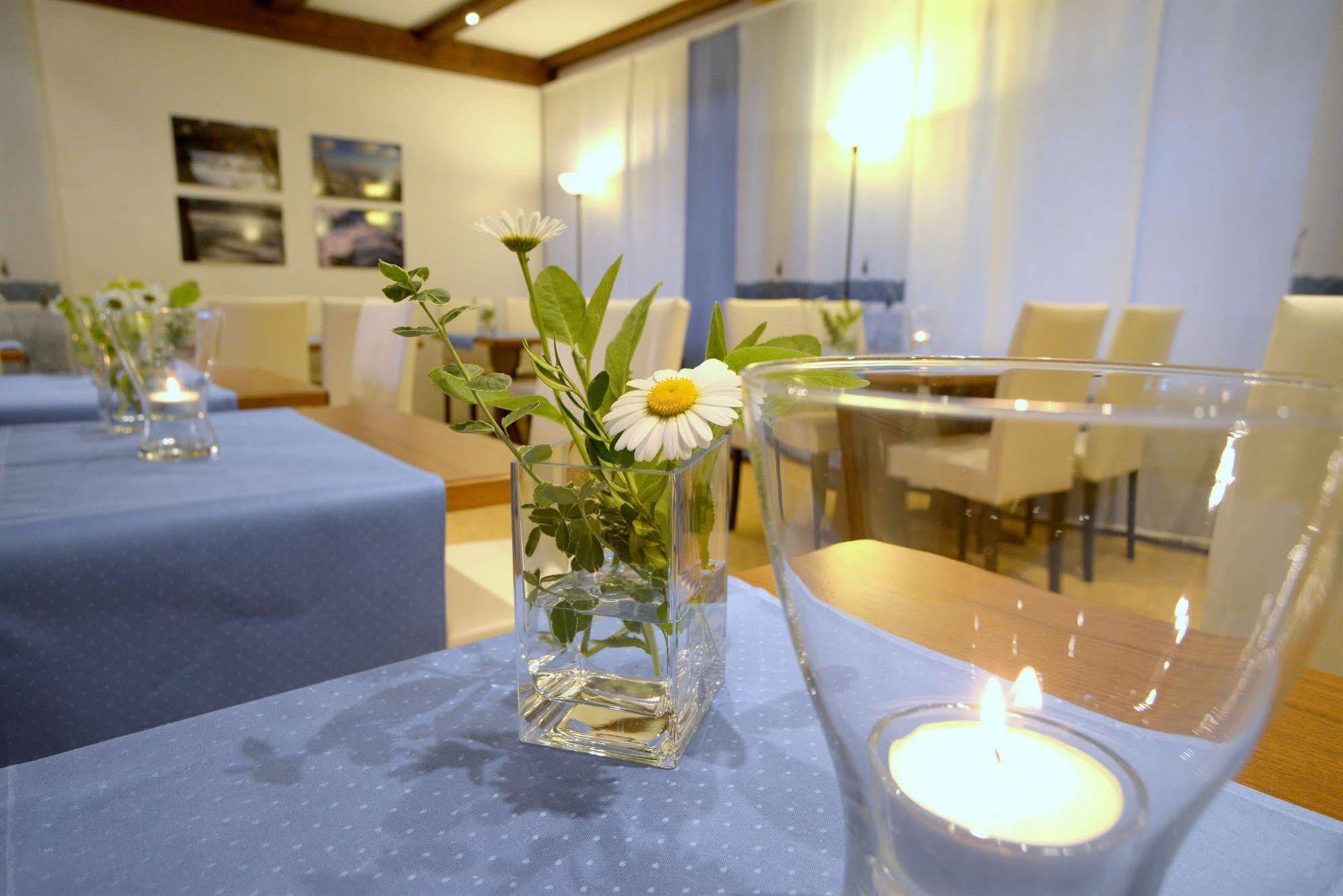 Belvedere - Das Bio Hotel Garni & Suitehotel Am Edersee ! Unser Geschenk Fuer Sie, Auch Die Gaestecard Grimmheimat! Вальдек Экстерьер фото